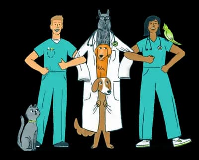Two veterinarians in scrubs standing arm in arm with a stack of dogs in a lab coat between them, a cat and a parrot alongside